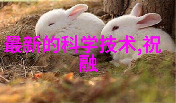 色彩飞扬的行走艺术馆
