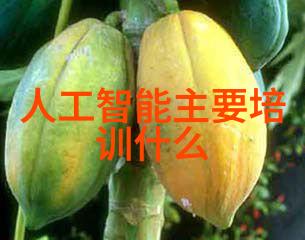塑料分离器我的垃圾分类小伙伴