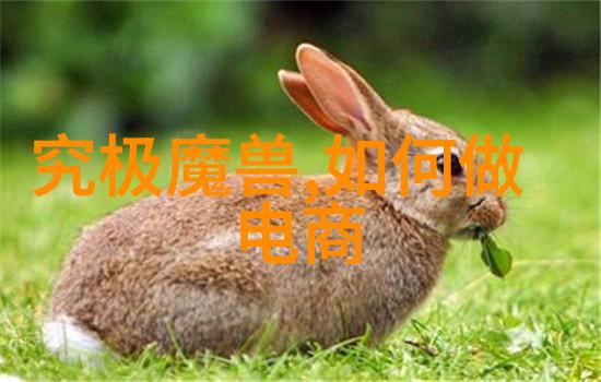 官舵江湖中的指南星