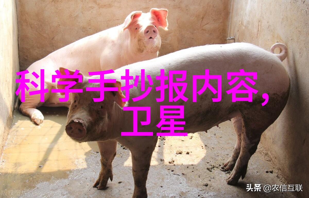 实验室高压灭菌锅型号-超声波清洗与干燥技术在实验室高压灭菌锅的应用与挑战