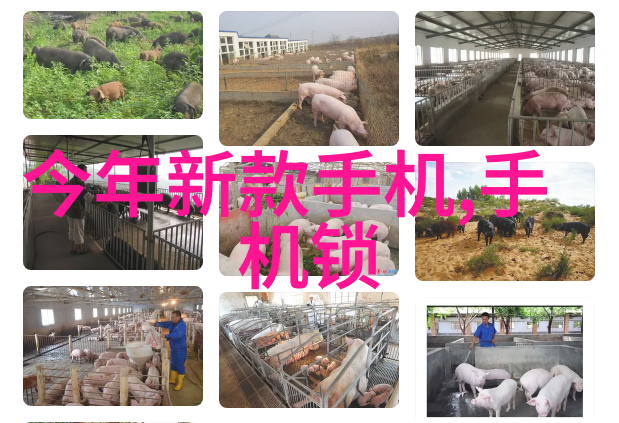 请问购买二手304不锈钢板需要关注哪些因素以获取最佳报价