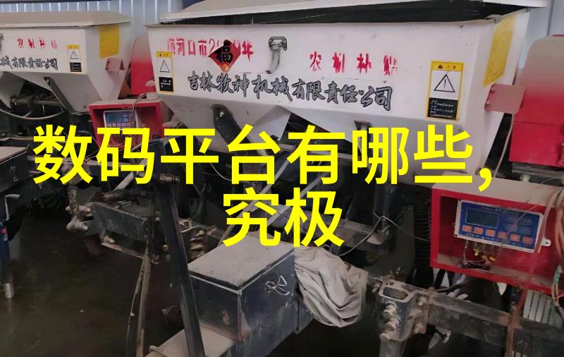 樱桃欧美版时尚生活欧洲与美国的樱桃文化体验