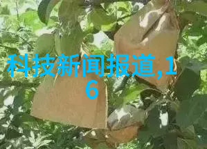 PE管材厂家塑料管道行业的精准选择与创新驱动者