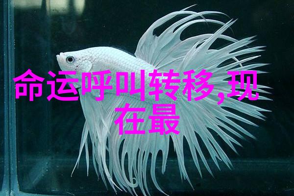 信用分数高低对选择设计师有何不同之处