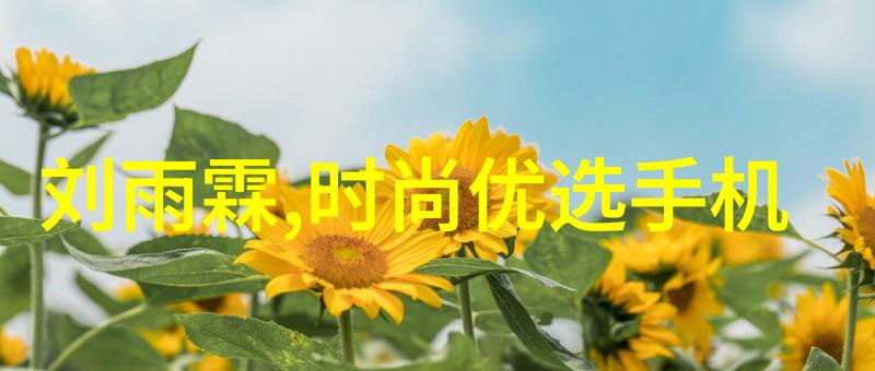 科技风云捷荣股市的辉煌与挑战