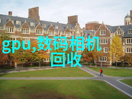 漫步于梦幻田野探索野花日本大全的魅力