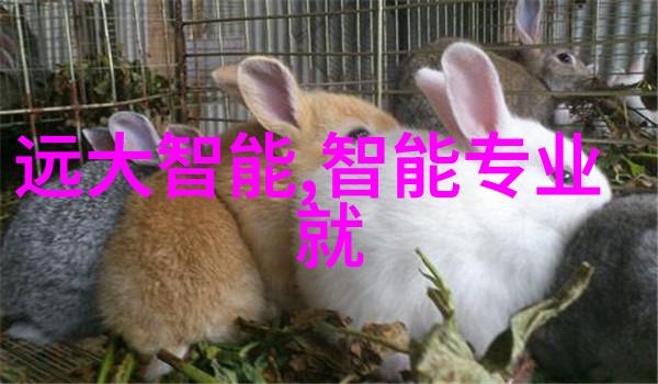 水质检测的指标清澈河流的守护者
