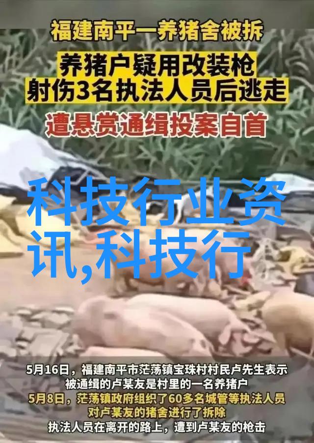 一生一世的墨宝收藏与非宝石投资对比深度解析