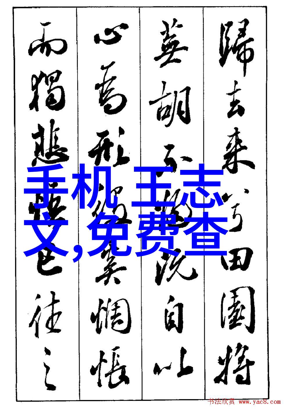 晚夜免费禁用十大亏亏探索与实践