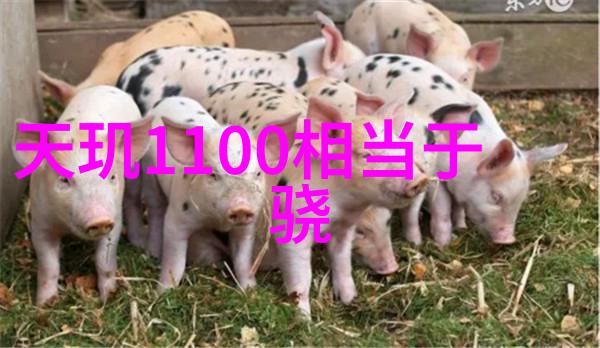 高效消毒器大规模批发保障健康安全的不懈追求
