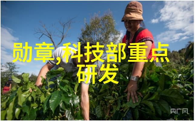 磷矿石地球之脉的秘密守护者与人类发展的关键资源