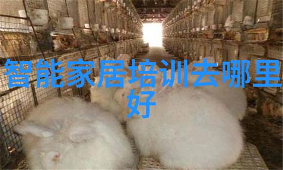 辐照灭菌设备在医疗环境中的应用研究与展望