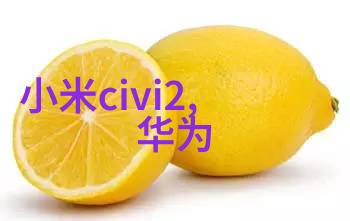 装修设计图我是如何用一张图纸把家变成梦想之地