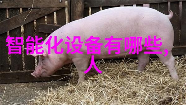 有什么特别的研究方向是在山东财经大学 东方学院推崇和支持吗