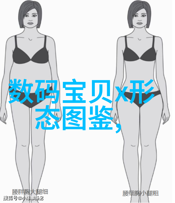 深渊之泉德国矿泉水全自动生产线的秘密