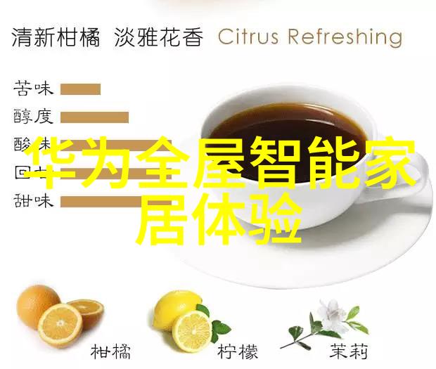 空气动力学的奇迹揭秘压缩机的工作奥秘