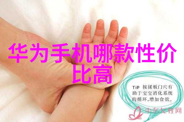 离心萃取器在哪些领域发挥着重要作用