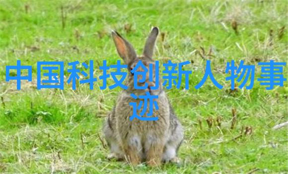移动式泥石分离机重塑作业现场的高效分选解决方案