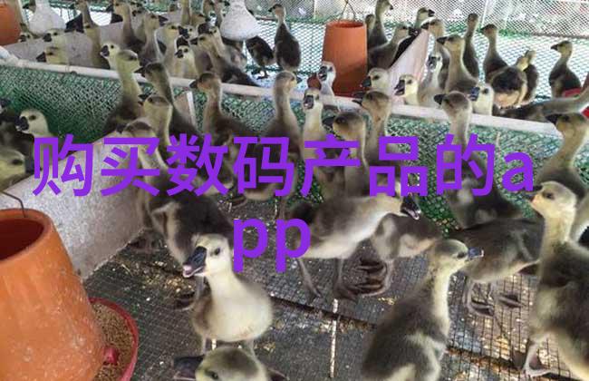 多种干燥技术之间有何区别和选择依据