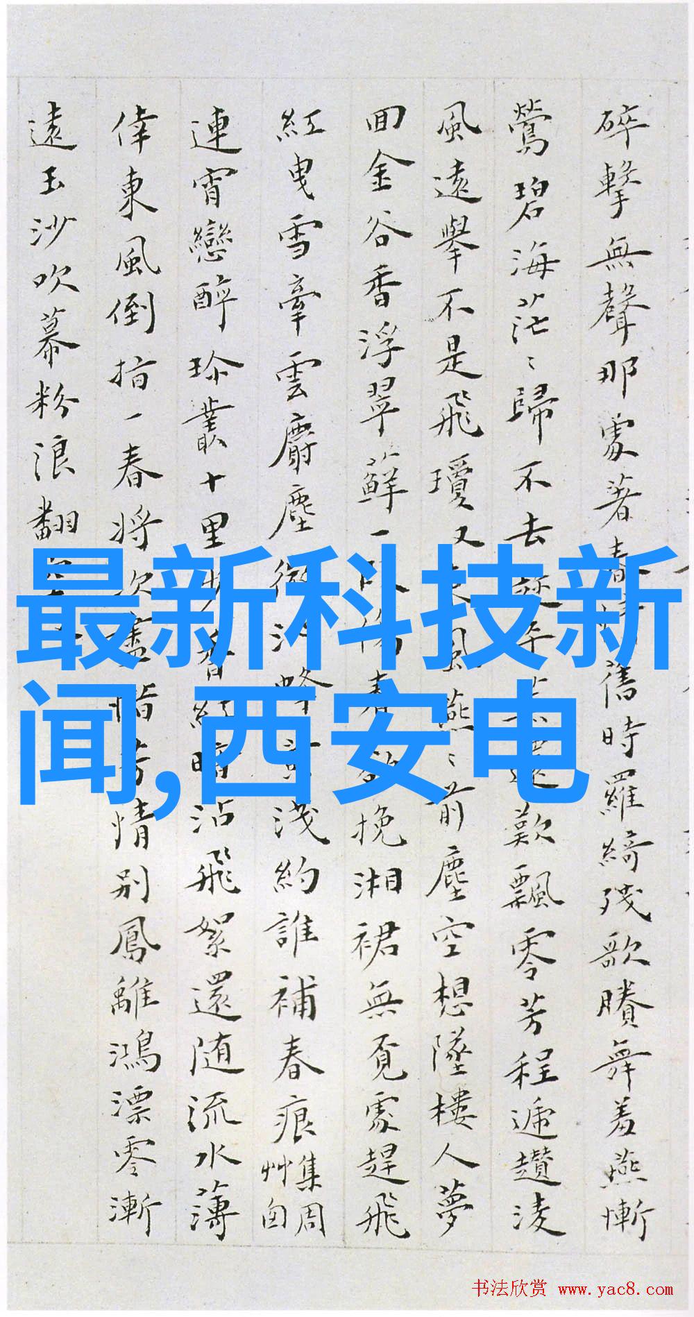 最美情侣免费播放视频下载我怎么也能像看这些爱得好到爆的恋人们一样感动吗