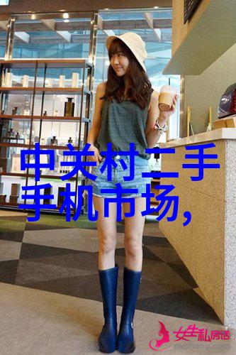 防水卷材新选择东方雨虹的可靠守护者