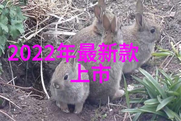 中国化工装备中国化工装备产业发展报告新时代的技术革新与国际竞争力提升