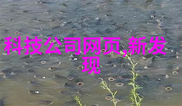 郑州工程技术学院我在这座城市的秘密花园中探险