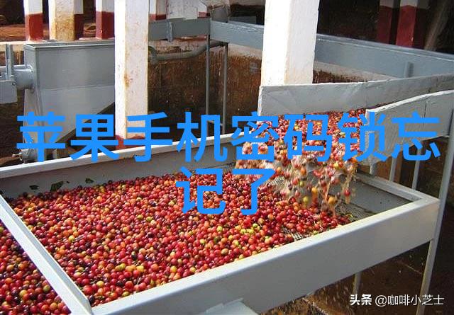 守护生命的微观堡垒医院生物安全柜的隐秘篇章