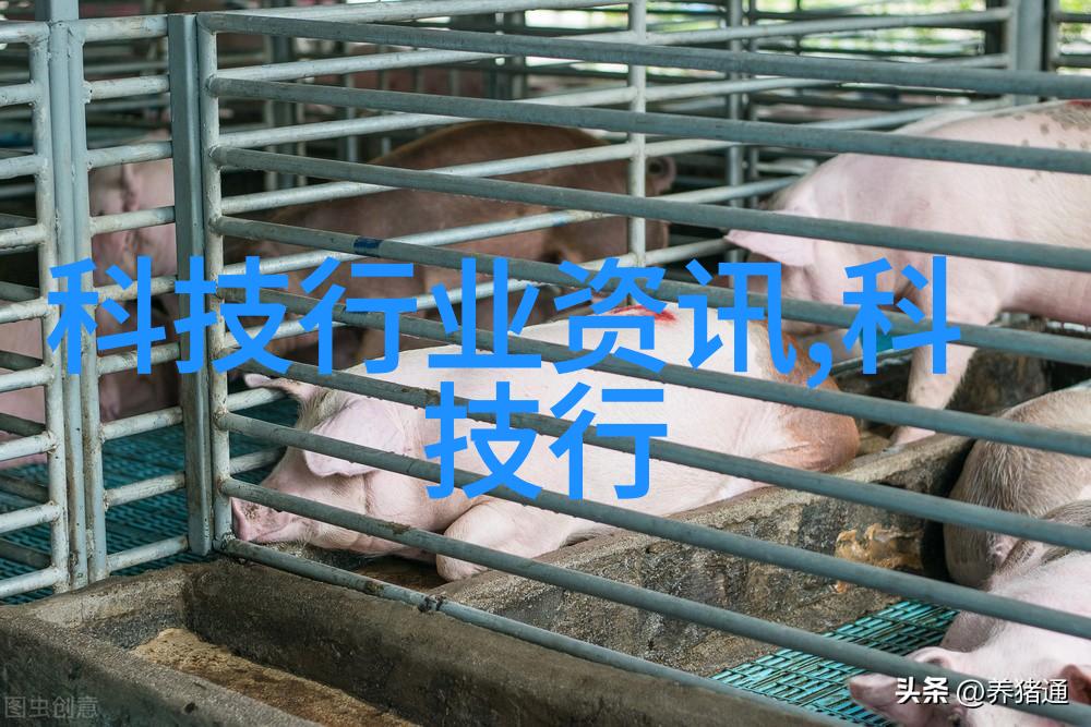 智能化财经亲自掌控你的钱袋故事