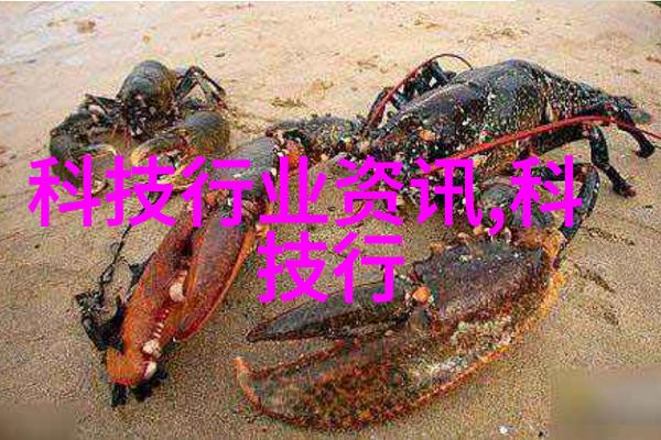 精华之城大型中药提取浓缩设备的奇迹与挑战