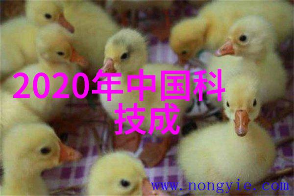 个人如何申请专利及流程我来告诉你从准备到成功的每一步