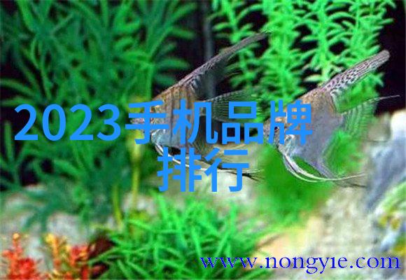 2023年新一代强悍巨擘CPU大比拼
