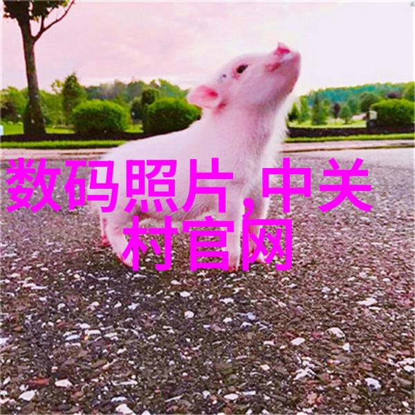 流量仪器精准测量流体动态的智慧守护者