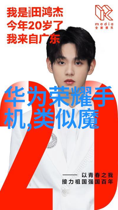 混乱的秩序环填料背后的无序世界