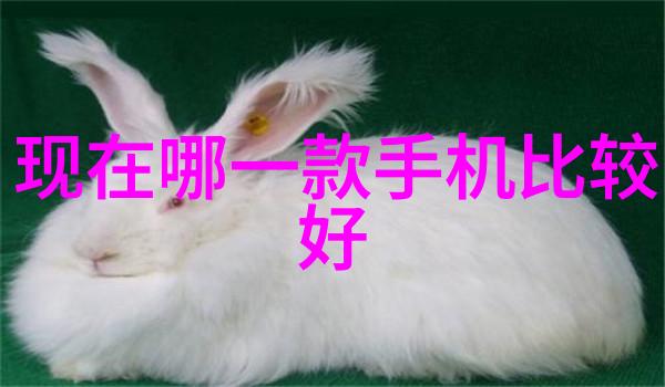 买房子要注意什么咱们买房前得琢磨这些事儿
