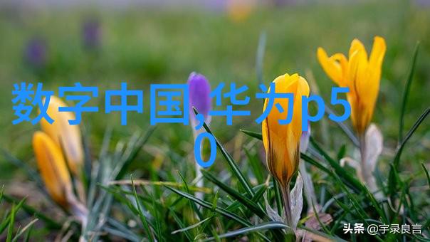 杉杉来吃解读青春与梦想的故事