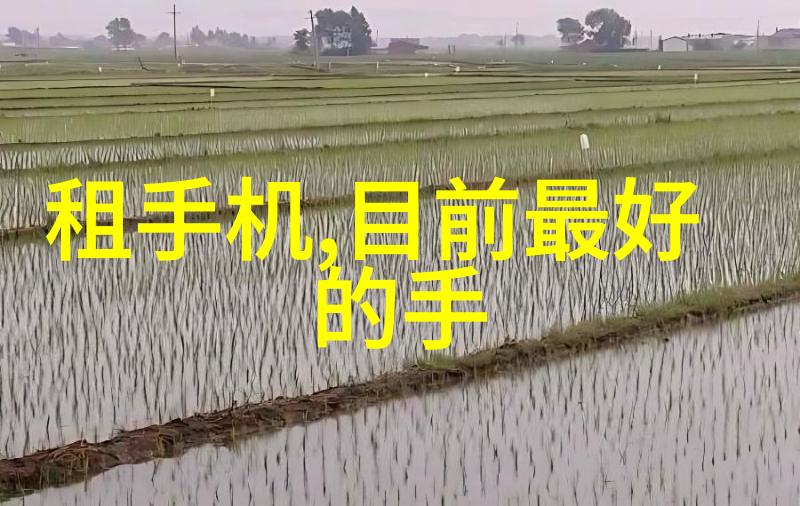 化工干燥设备我的工业小伙伴如何让它们更高效地工作