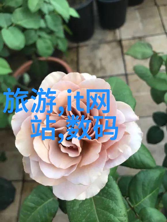 五个闺蜜的疯狂互换春雨医生-闺密交换春雨医生的奇幻转身