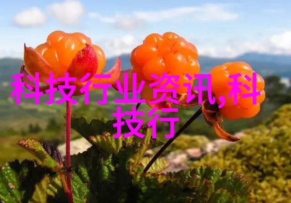 从摩尔定律到今日我们看似简单的是或非背后隐藏着多少故事和挑战