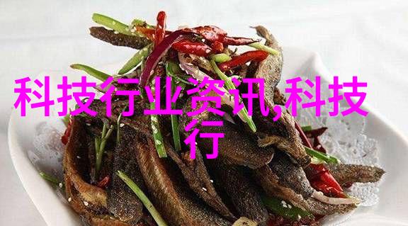 移动式泥石分离机的应用与创新发展