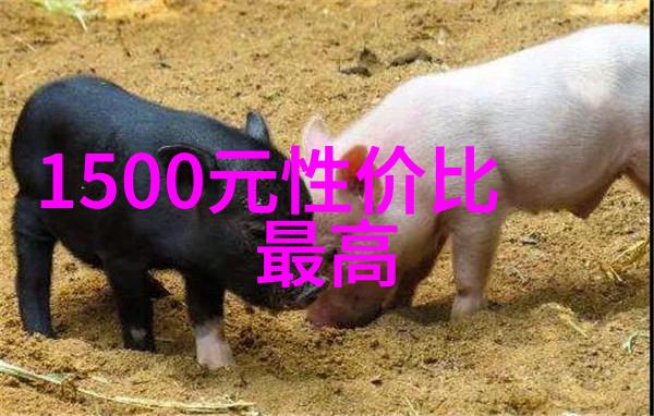 不锈钢喷头的逆袭从洗碗机的小卒到厨房的大将