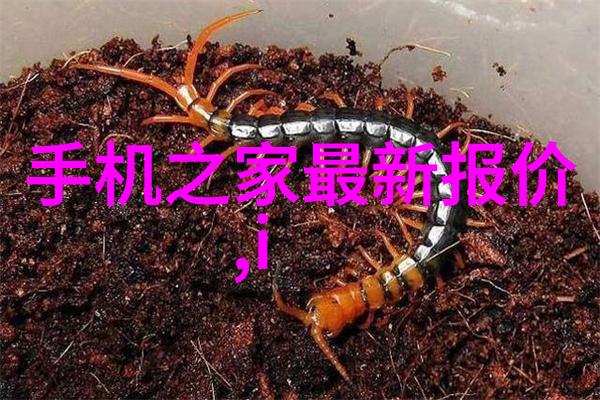数据之海计算机科学的无尽探索