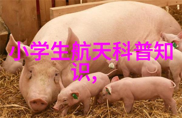 毛坯房装修的开端规划与预算的重要性探究