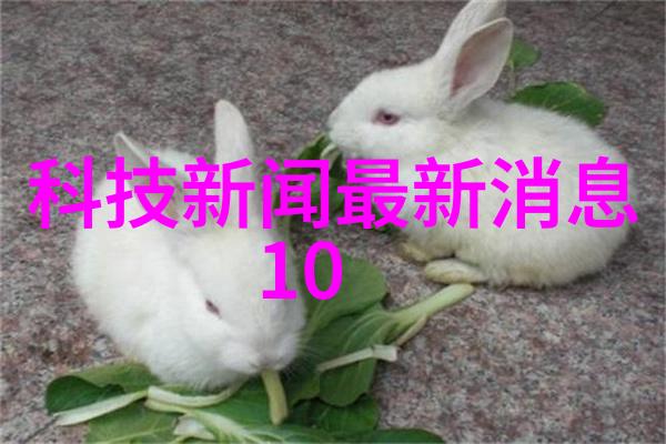 不锈钢方管304价格表详解市场行情与采购指南