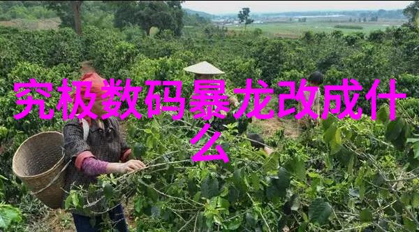 夏日蜜源的秘密一对一的橙色采摘之旅
