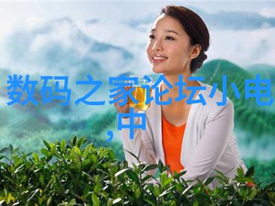黑暗中的净化者揭秘制造废水处理设备的神秘工匠们