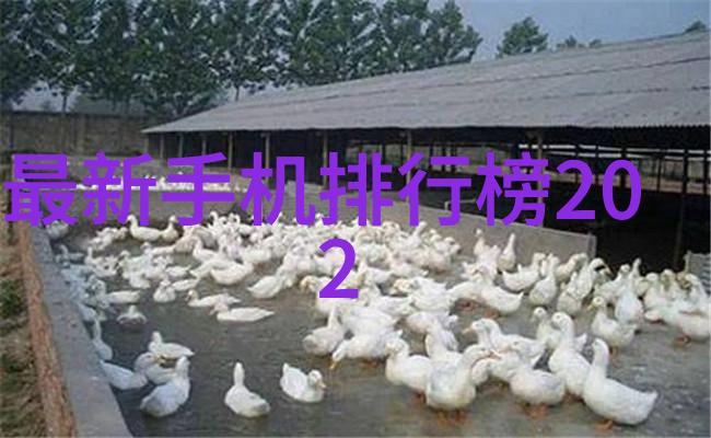 一加10旗舰新篇章