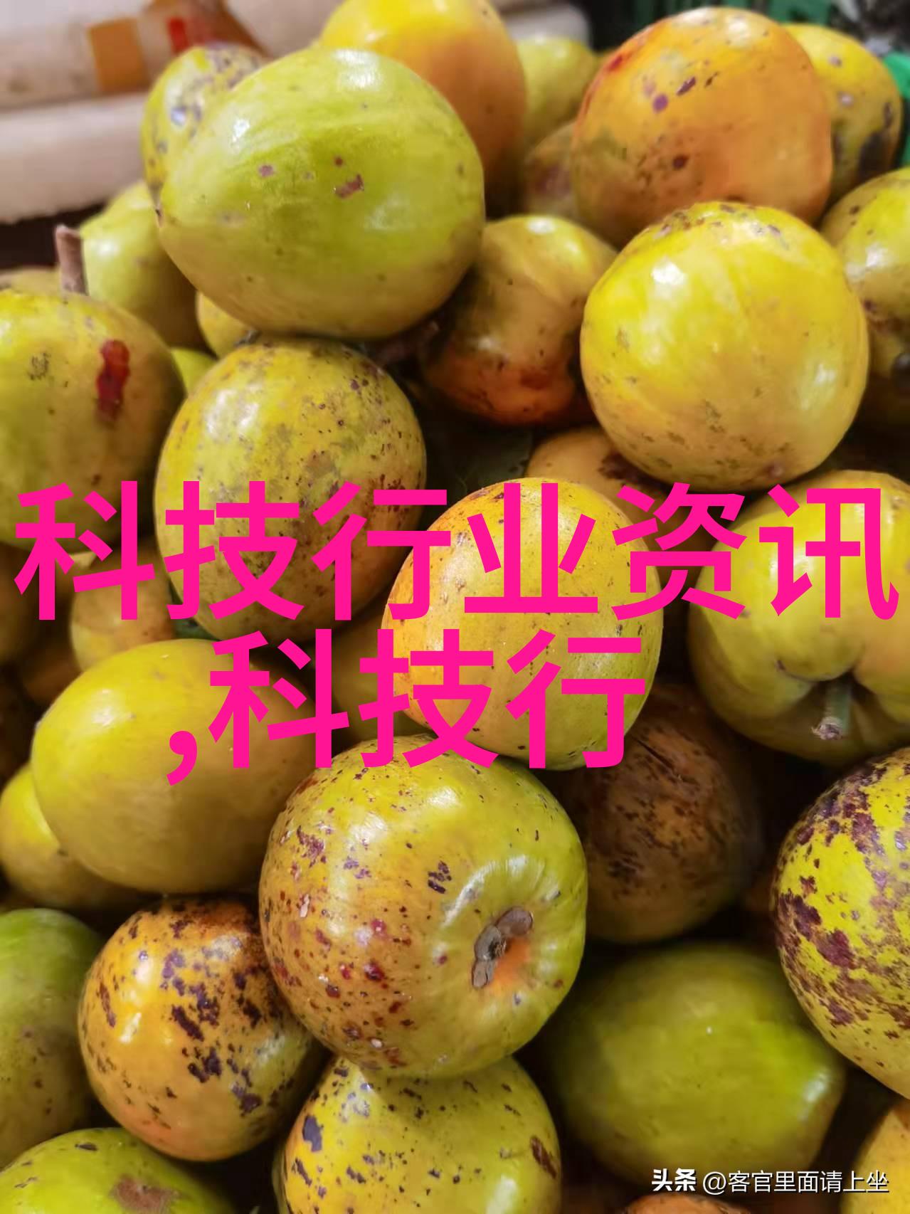 家用中药萃取机与全自动重量选别机供应商合力震撼呈现振动筛新篇章
