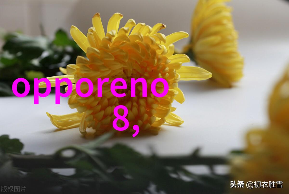 大型污水处理厂设备生产与应用研究从制造商到生态保护的系统探究