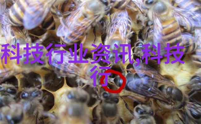 从微生物的角度看生产消毒液的神秘仪式与现实设备相遇